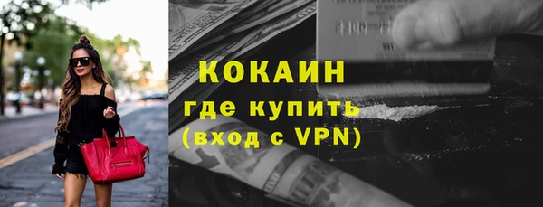 шишки Кодинск