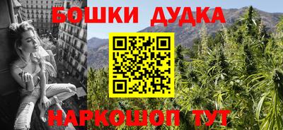 гидра Аша