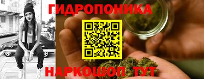 гашиш Ачхой-Мартан