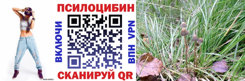 Псилоцибиновые грибы Magic Shrooms маркетплейс официальный сайт Белорецк
