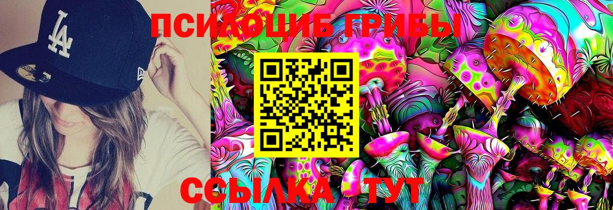 Псилоцибиновые грибы Psilocybe Белорецк